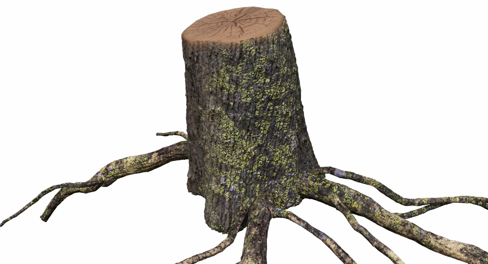 3D Stump Roots - TurboSquid 1418597