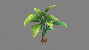 Cartoon palm tree