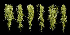 Hanging plants collection vol 248-Blender-3dmodel 3D model