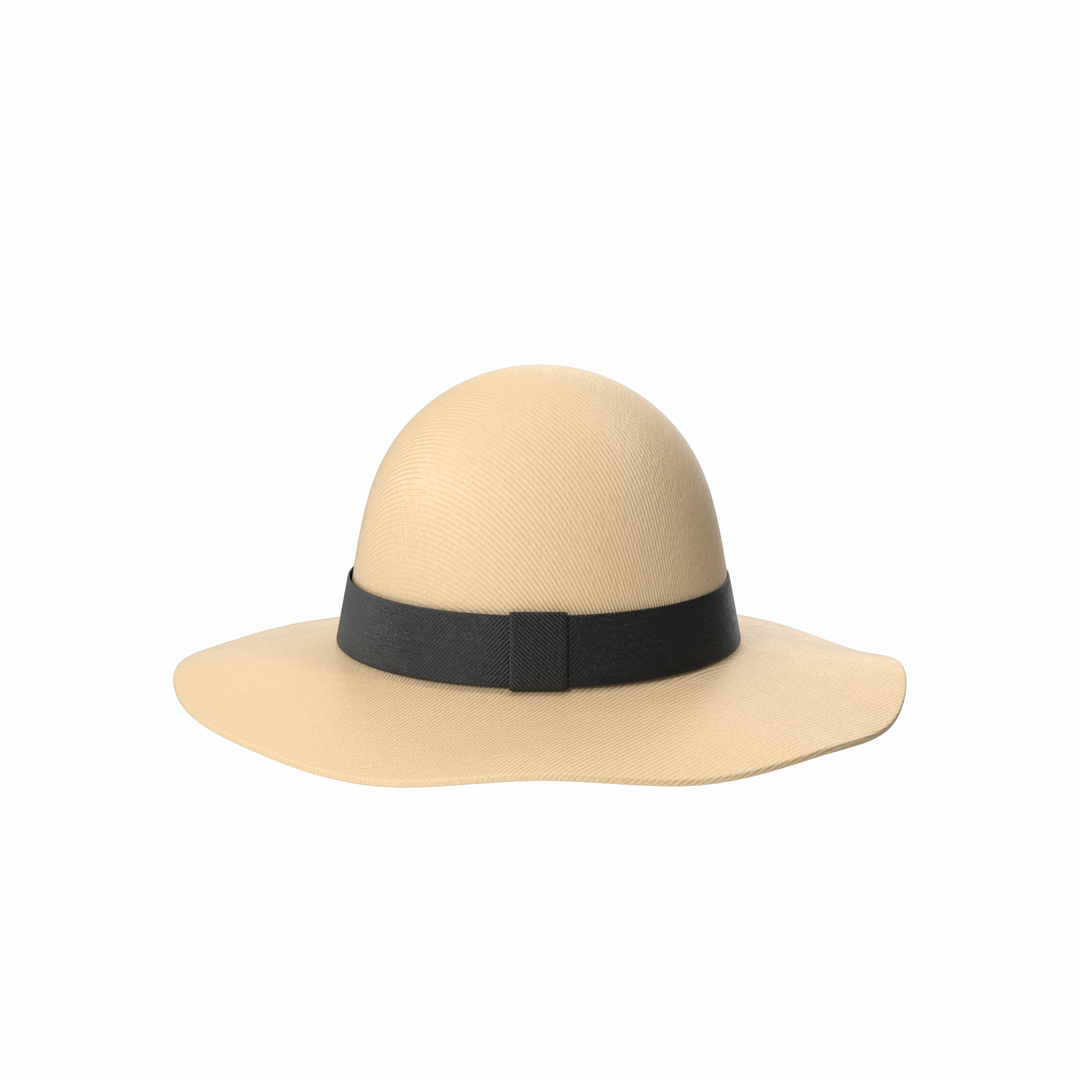 Women Hat 3D https://p.turbosquid.com/ts-thumb/Hv/U4kBi0/3A/p/png/1717144899/1920x1080/turn_fit_q99/fec17ab73bde255bba107e640d677a149d6c8050/p-1.jpg