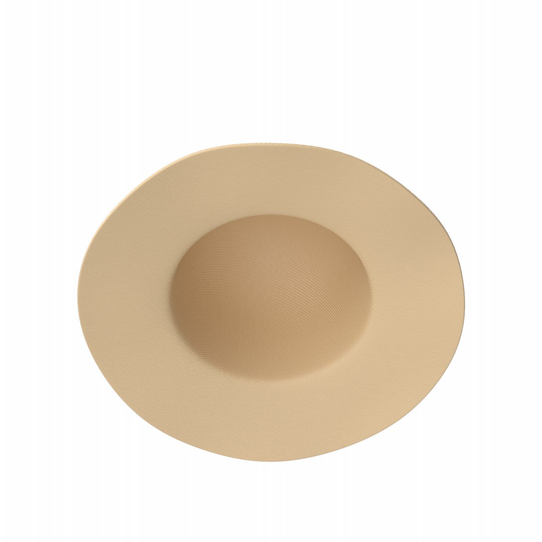 Women Hat 3D https://p.turbosquid.com/ts-thumb/Hv/U4kBi0/xO/womenhat.n02.2k/png/1717144615/1920x1080/fit_q87/edc56be1034deb266d3c49853adea13c99731135/womenhat.n02.2k.jpg