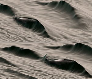 Crashing Wave Pack
