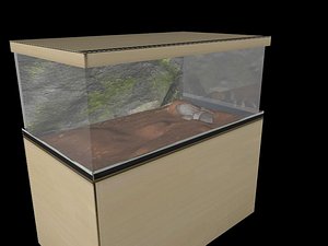 terrarium reptiles 3d model