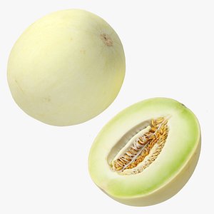 3D Honeydew Melons