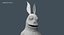 Creature Rabbit