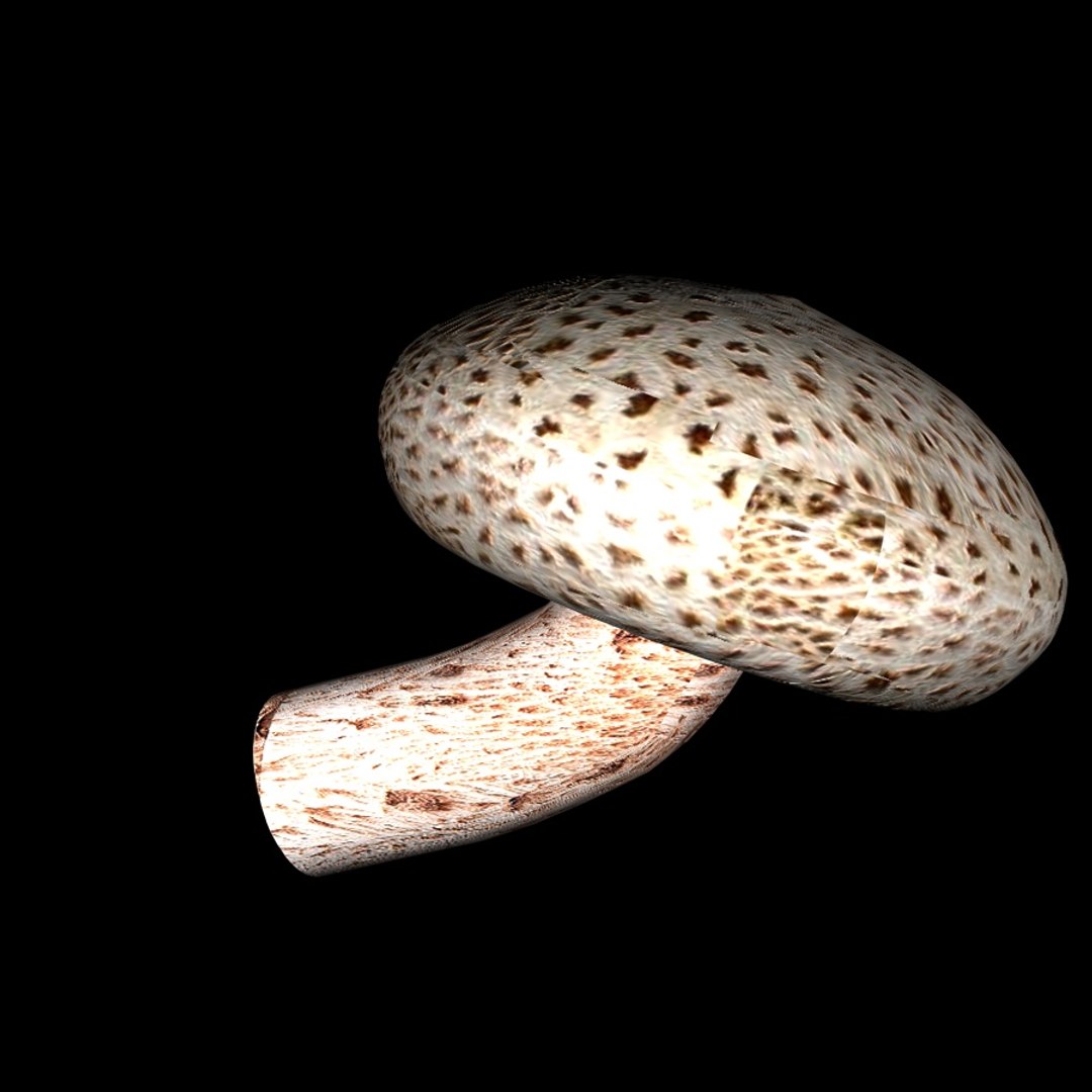 mushroom 3d c4d https://p.turbosquid.com/ts-thumb/Hw/6stfVk/3uZZv9JG/mushroom/jpg/1333607488/1920x1080/fit_q87/7096d41a38121d080ed8dc45efc4cf9031210726/mushroom.jpg