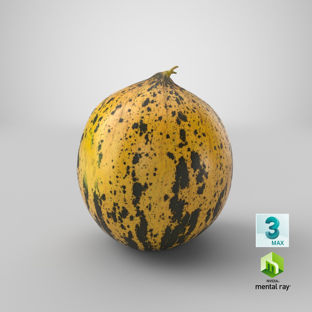 3D turkish melon 01 https://p.turbosquid.com/ts-thumb/Hw/8GydXp/oOThv2WA/stemcell_max_mental_ray_render/png/1585839296/1920x1080/fit_q87/9908e9718473f6ed8ca3afdab9733cb082440d68/stemcell_max_mental_ray_render.jpg