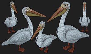 3D nature animal wildlife model