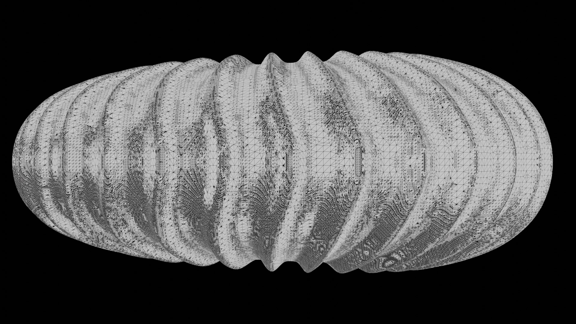 Ammonoid Shell With Strong Plicate Ribs 3D - TurboSquid 2297431