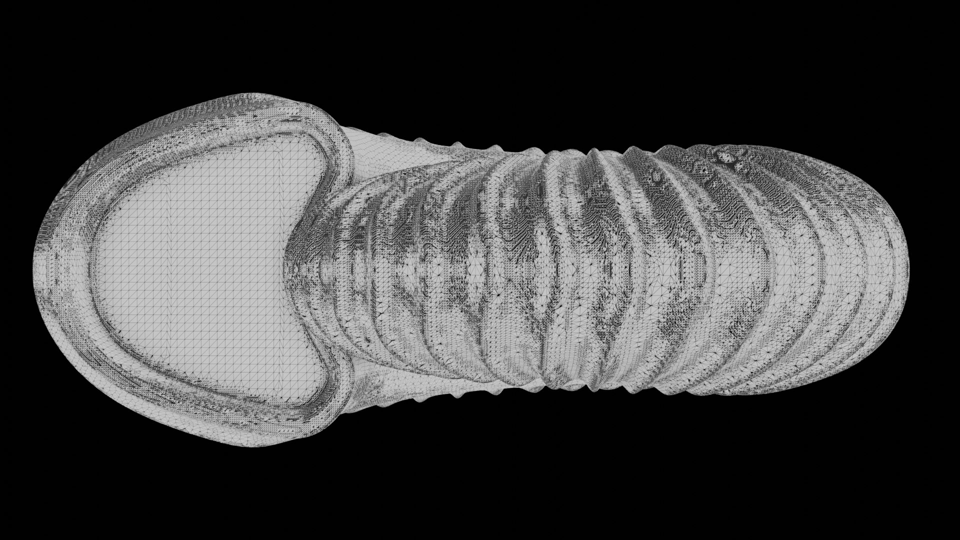 Ammonoid Shell With Strong Plicate Ribs 3D - TurboSquid 2297431