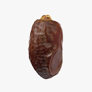 Date 2 - Photo Scan 3D model