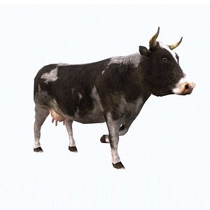 3D cow animation