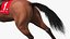 Running Bay Racing Horse with Jokey 3D