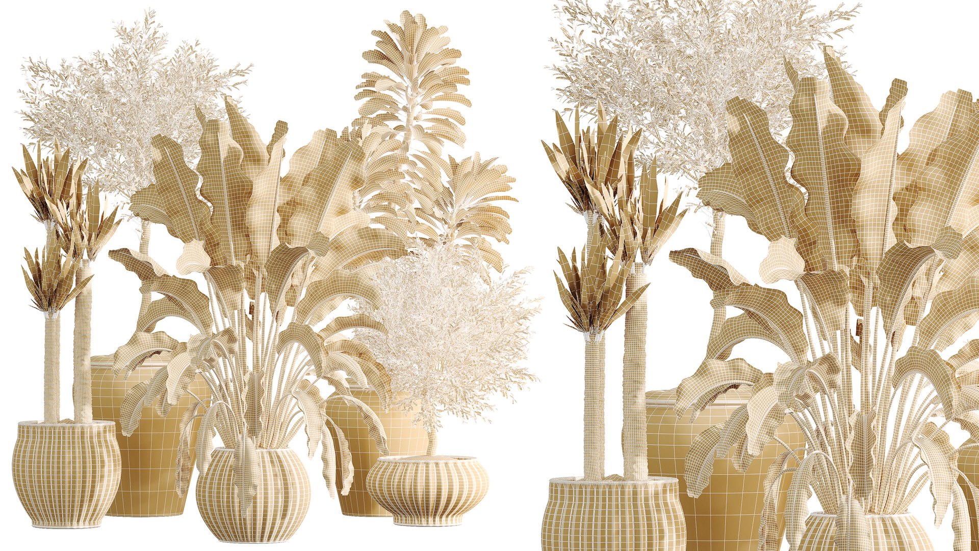 AV Indoor Plants Set 545 Banana Olive Euphorbia Drupifera Yucca Elephantipes 3D https://p.turbosquid.com/ts-thumb/Hx/7tIlQh/Vt/07/png/1793101335/1920x1080/fit_q87/4b0e8bf3215c7f9ed776b95e5902965f5ce05a3d/07.jpg