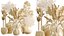 AV Indoor Plants Set 545 Banana Olive Euphorbia Drupifera Yucca Elephantipes