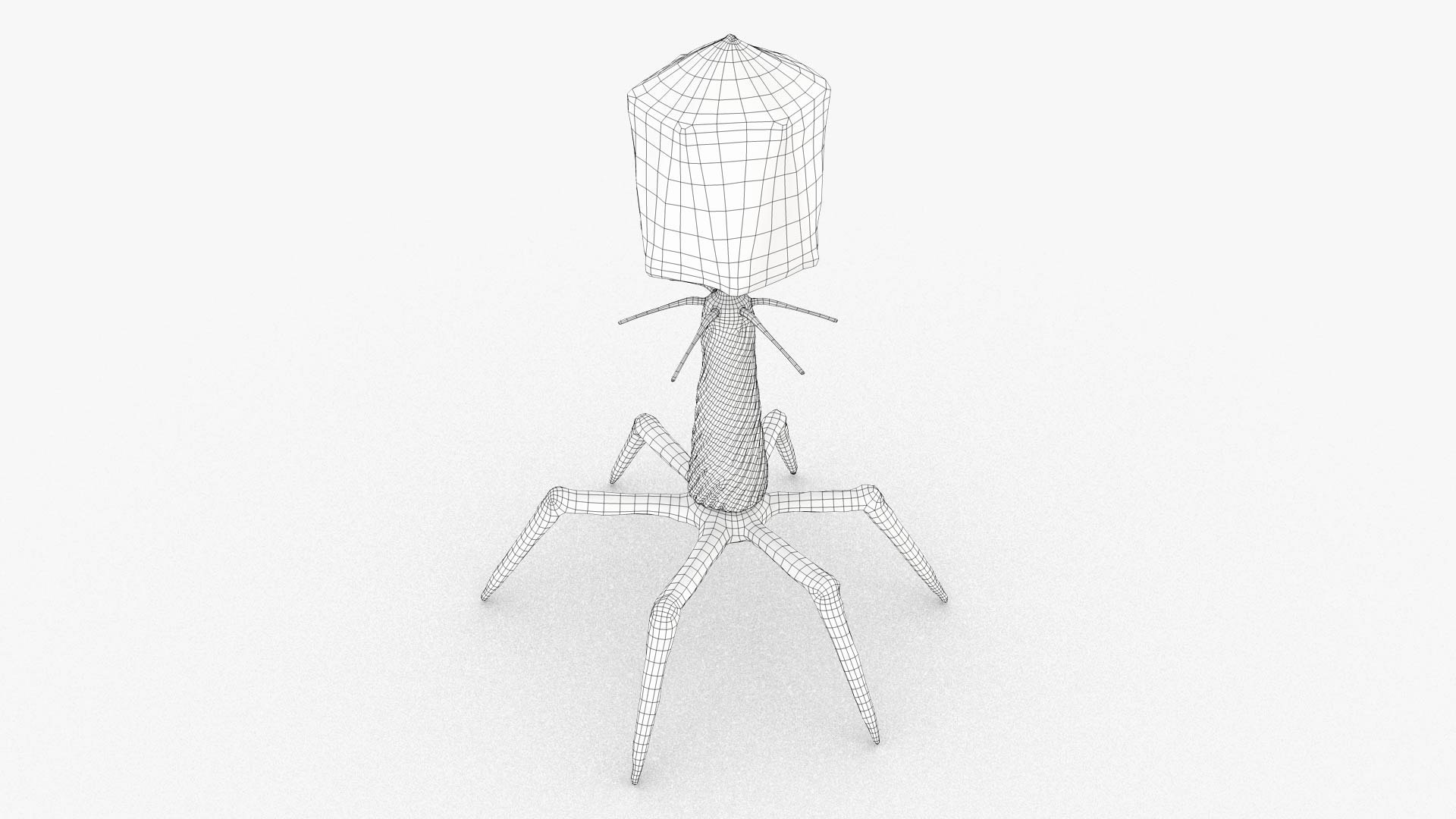 3D Bacteriophage https://p.turbosquid.com/ts-thumb/Hx/AXgrnE/Fj/bacteriophage_out_0002/jpg/1639919185/1920x1080/fit_q87/a2daa614d77af1cb26ee1133bb1a0ca5a140b861/bacteriophage_out_0002.jpg