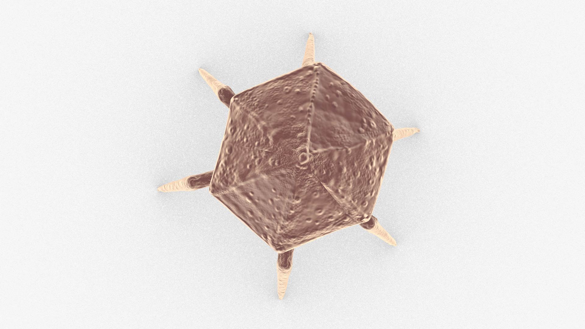 3D Bacteriophage https://p.turbosquid.com/ts-thumb/Hx/AXgrnE/Gt/bacteriophage_0006/jpg/1639916509/1920x1080/fit_q87/1f0497c25add1b41b37fbc58905a7ad5870ec85c/bacteriophage_0006.jpg