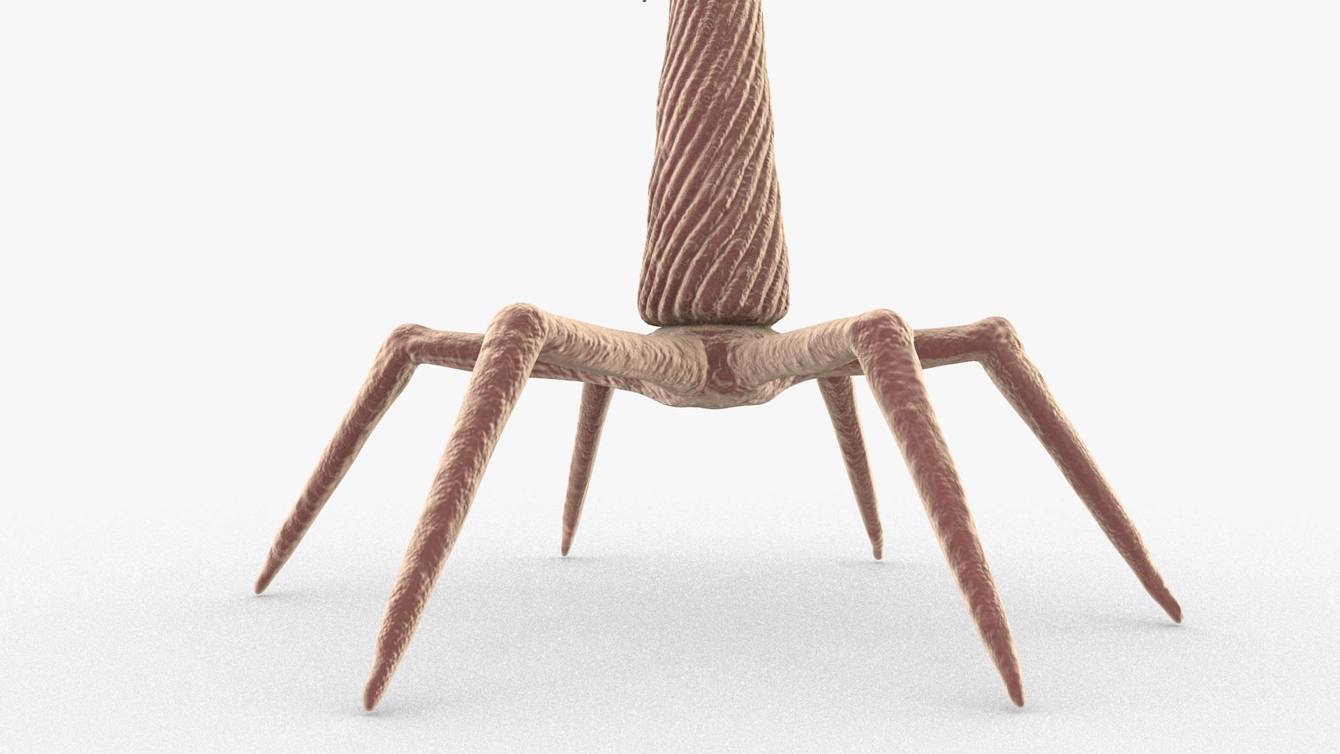 3D Bacteriophage https://p.turbosquid.com/ts-thumb/Hx/AXgrnE/lL/bacteriophage_0008/jpg/1639916507/1920x1080/fit_q87/17e2f46df8004221915ba4e35e6959603e03e339/bacteriophage_0008.jpg