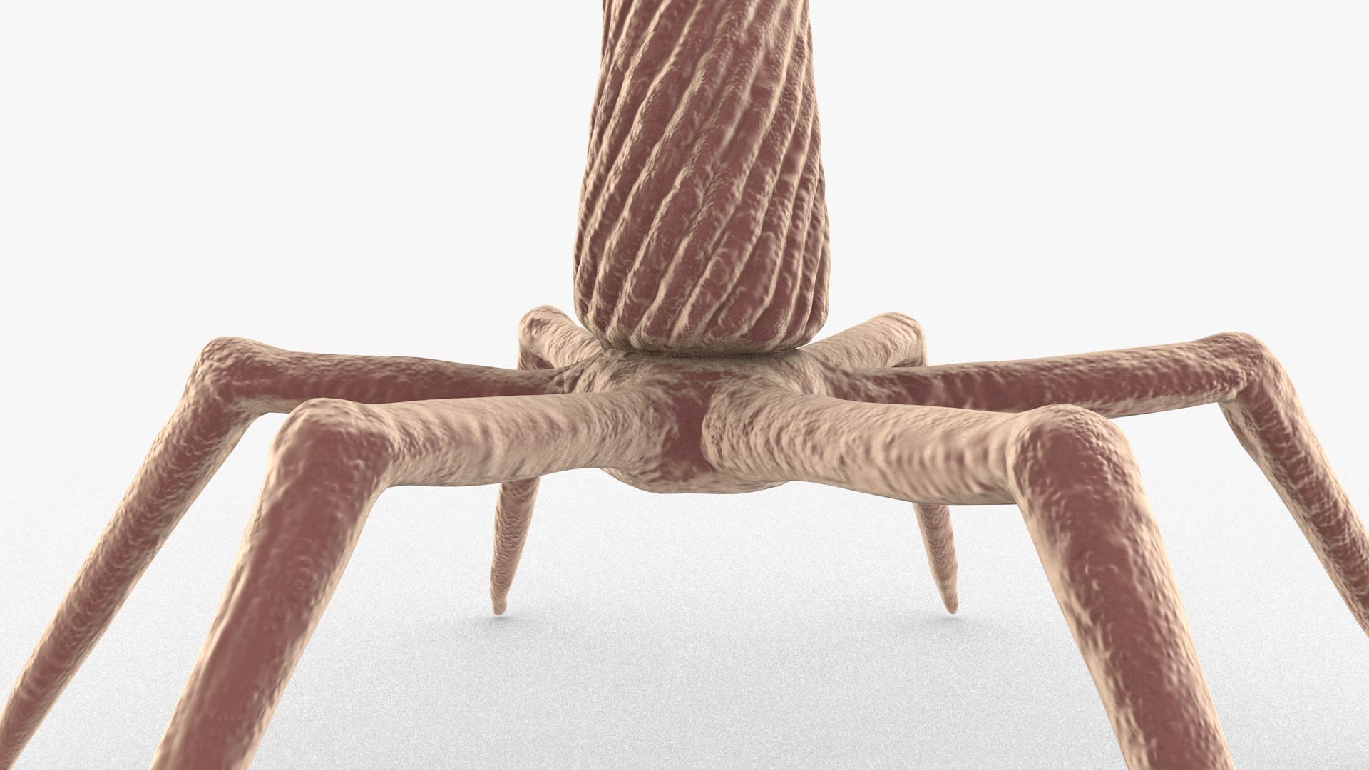 3D Bacteriophage https://p.turbosquid.com/ts-thumb/Hx/AXgrnE/pO/bacteriophage_0012/jpg/1639916504/1920x1080/fit_q87/0bc0d4a3db8144e3ee3dd7c9155b62f99f5680e7/bacteriophage_0012.jpg