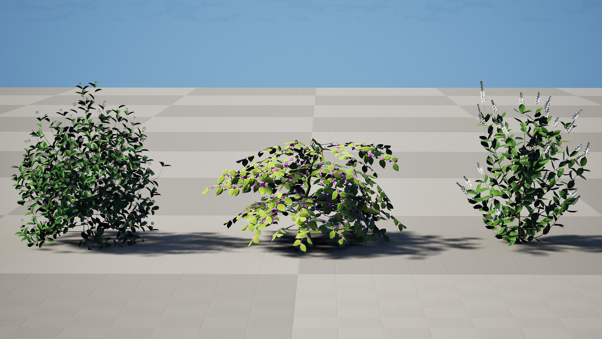 3D model Ultimate North American Shrub Collection https://p.turbosquid.com/ts-thumb/Hx/EPgTXp/NU/highresscreenshot00001/jpg/1778801554/1920x1080/fit_q87/6a597ed51d69e8d46f1d8a3914dccc1fa2d7b2a8/highresscreenshot00001.jpg