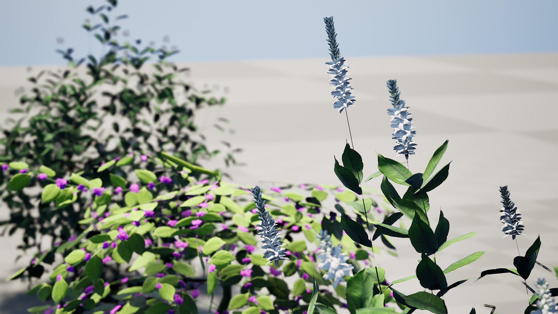 3D model Ultimate North American Shrub Collection https://p.turbosquid.com/ts-thumb/Hx/EPgTXp/sV/highresscreenshot00002/jpg/1778801555/1920x1080/fit_q87/8c7f33eb937929886cb7d8c5f91c53123acbad4a/highresscreenshot00002.jpg