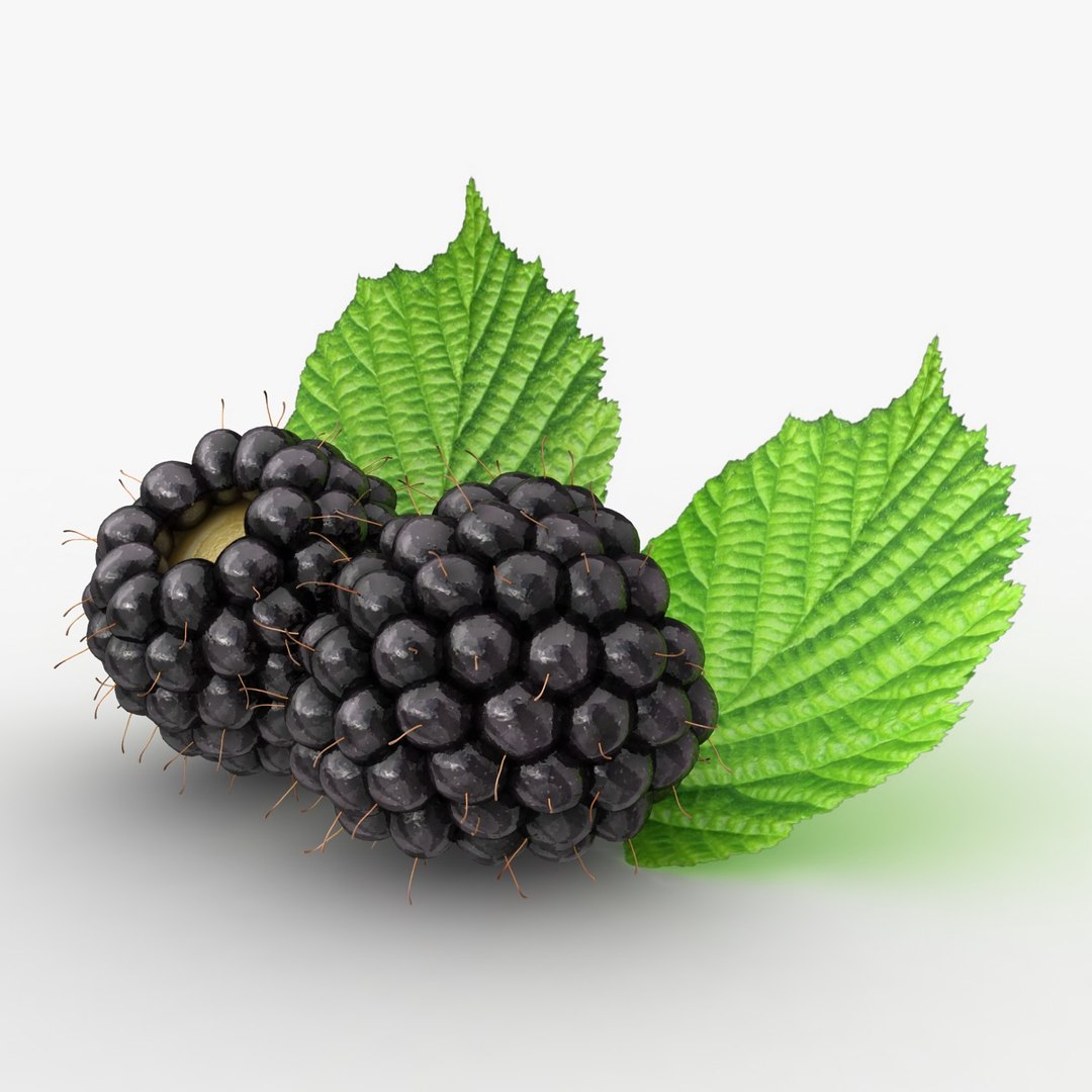 fruit papaya lychee model https://p.turbosquid.com/ts-thumb/Hx/FQtORJ/69BxA5fN/2/jpg/1535573396/1920x1080/fit_q87/d2f9234f54c1bcbca731f569092b95a63077b9e3/2.jpg