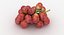 Colección de frutas