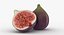 Colección de frutas