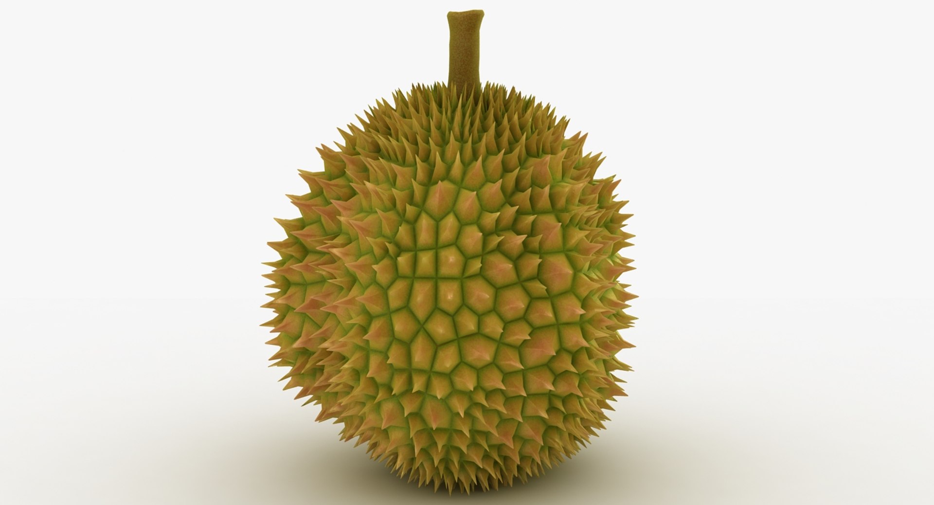fruit papaya lychee model https://p.turbosquid.com/ts-thumb/Hx/FQtORJ/qtfcAB8J/2/jpg/1535554196/1920x1080/fit_q87/1a5dbb5da379b72b8c684b6e1d2ce465fd0e1dc0/2.jpg