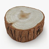 Wood Log 01 - 3D Scanned