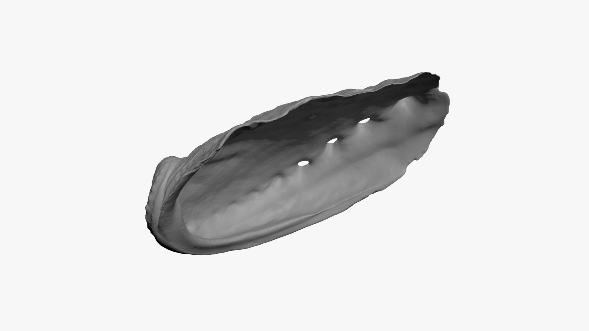 Abalone Shell For 3D Print 3D Model - TurboSquid 2334433