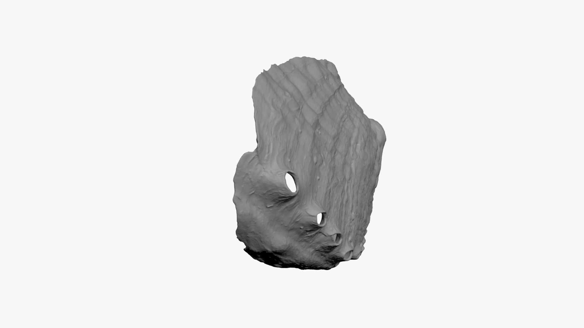 Abalone Shell For 3D Print 3D Model - TurboSquid 2334433