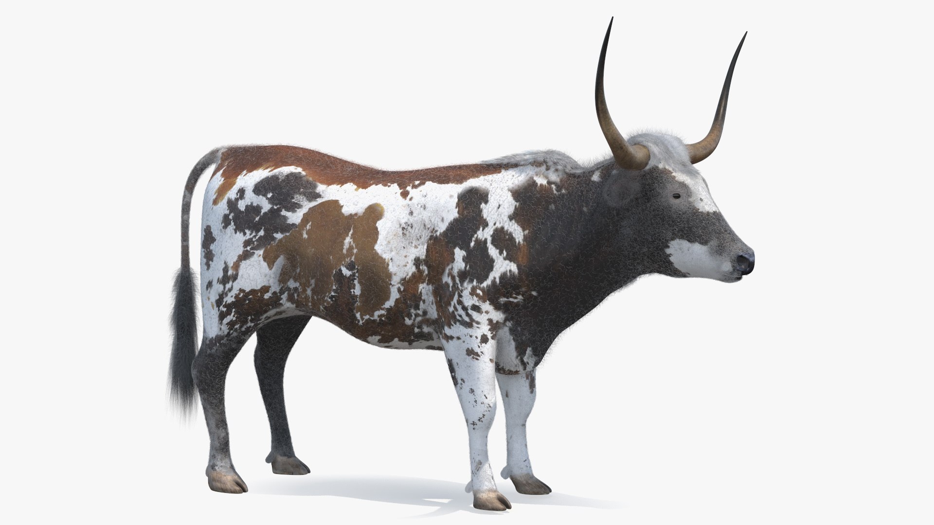 Farm Animals Big Rigged Collection 5 3D model preview