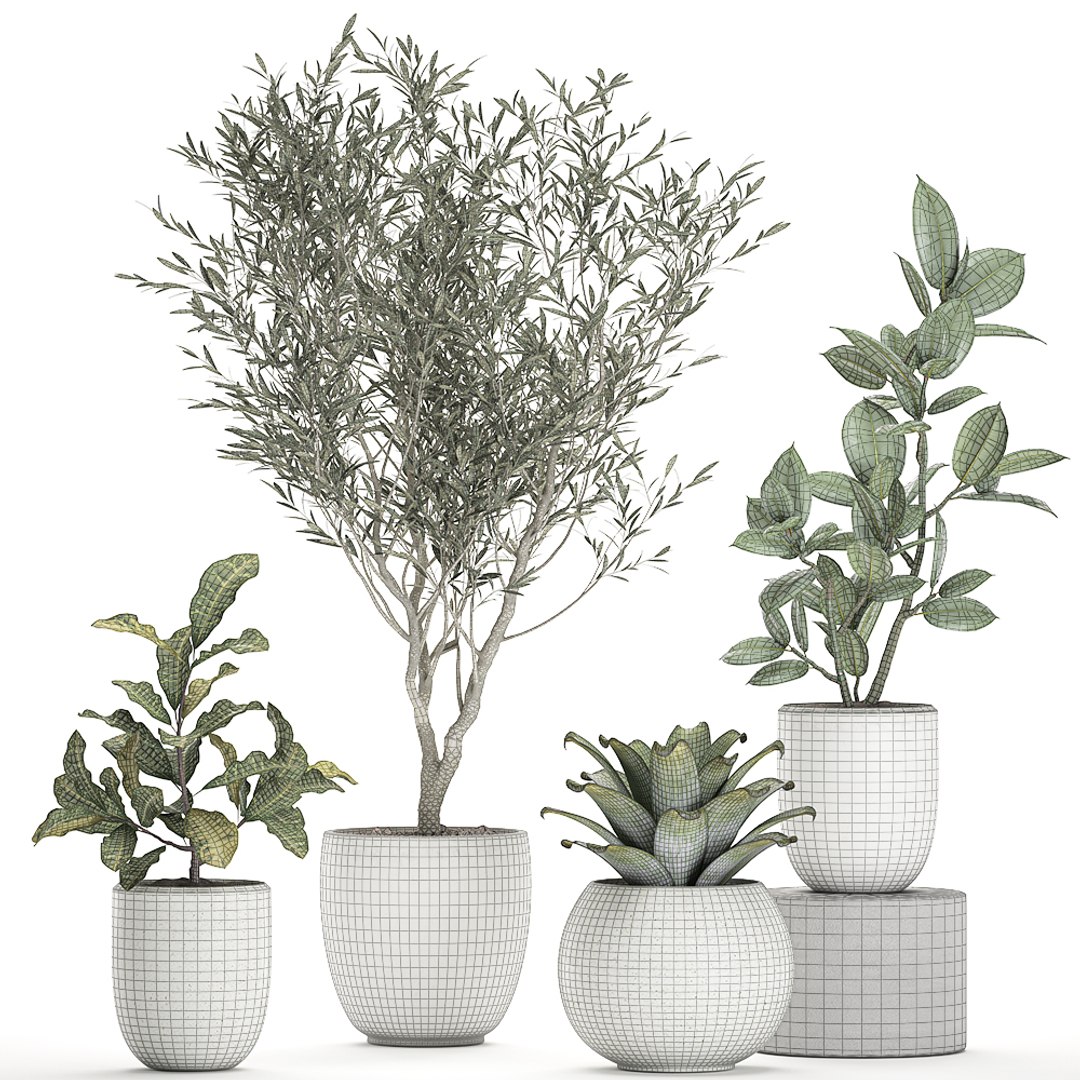 3D plants white https://p.turbosquid.com/ts-thumb/Hx/rQ1hZF/D4LJybYS/plants0708202008/jpg/1596888193/1920x1080/fit_q87/3969899bc2e7cedf64f805c337ca0787b72259a7/plants0708202008.jpg