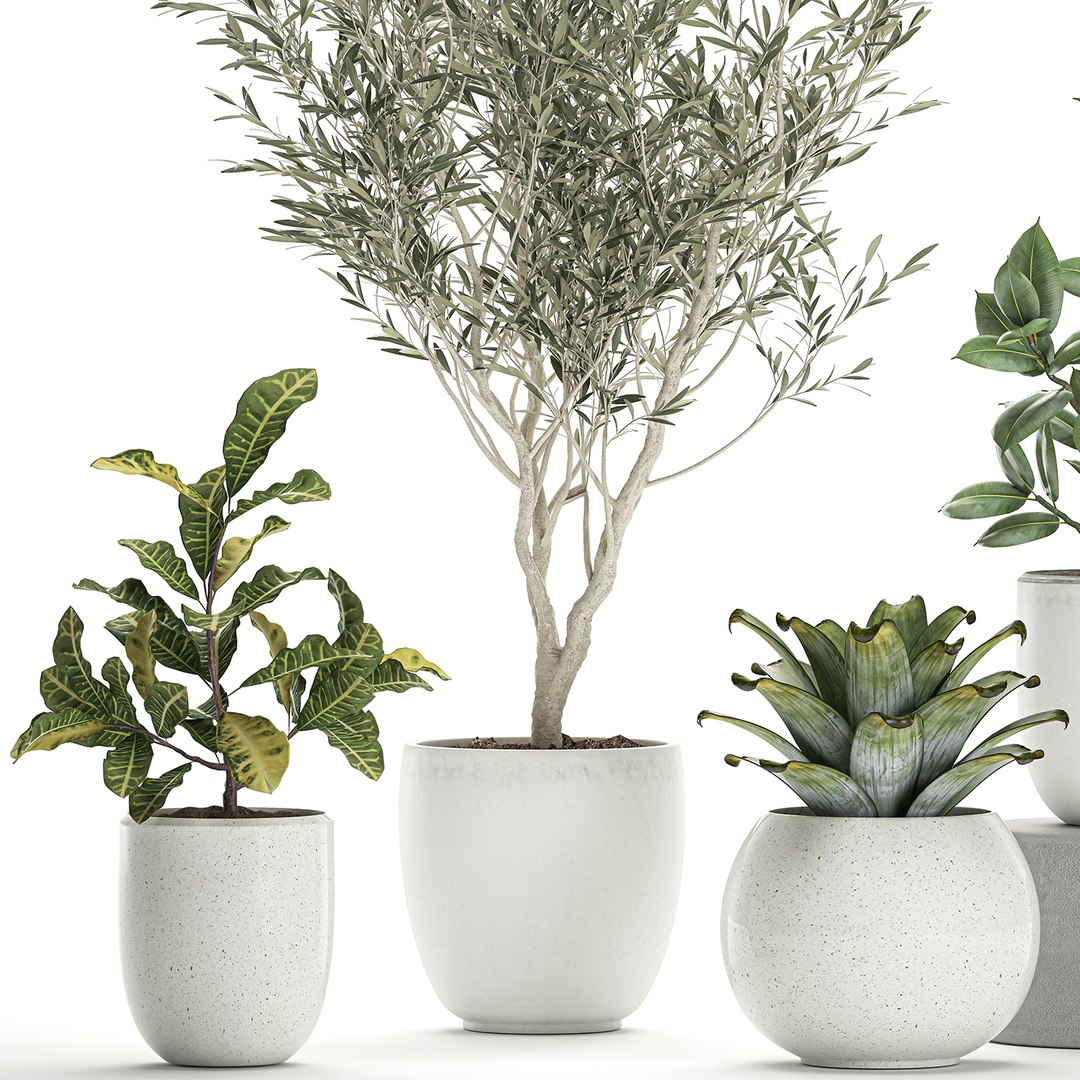 3D plants white https://p.turbosquid.com/ts-thumb/Hx/rQ1hZF/r7cad932/plants0708202002/jpg/1596888193/1920x1080/fit_q87/290b70f29b7e7473ecd8cf3186b9798c53d02863/plants0708202002.jpg