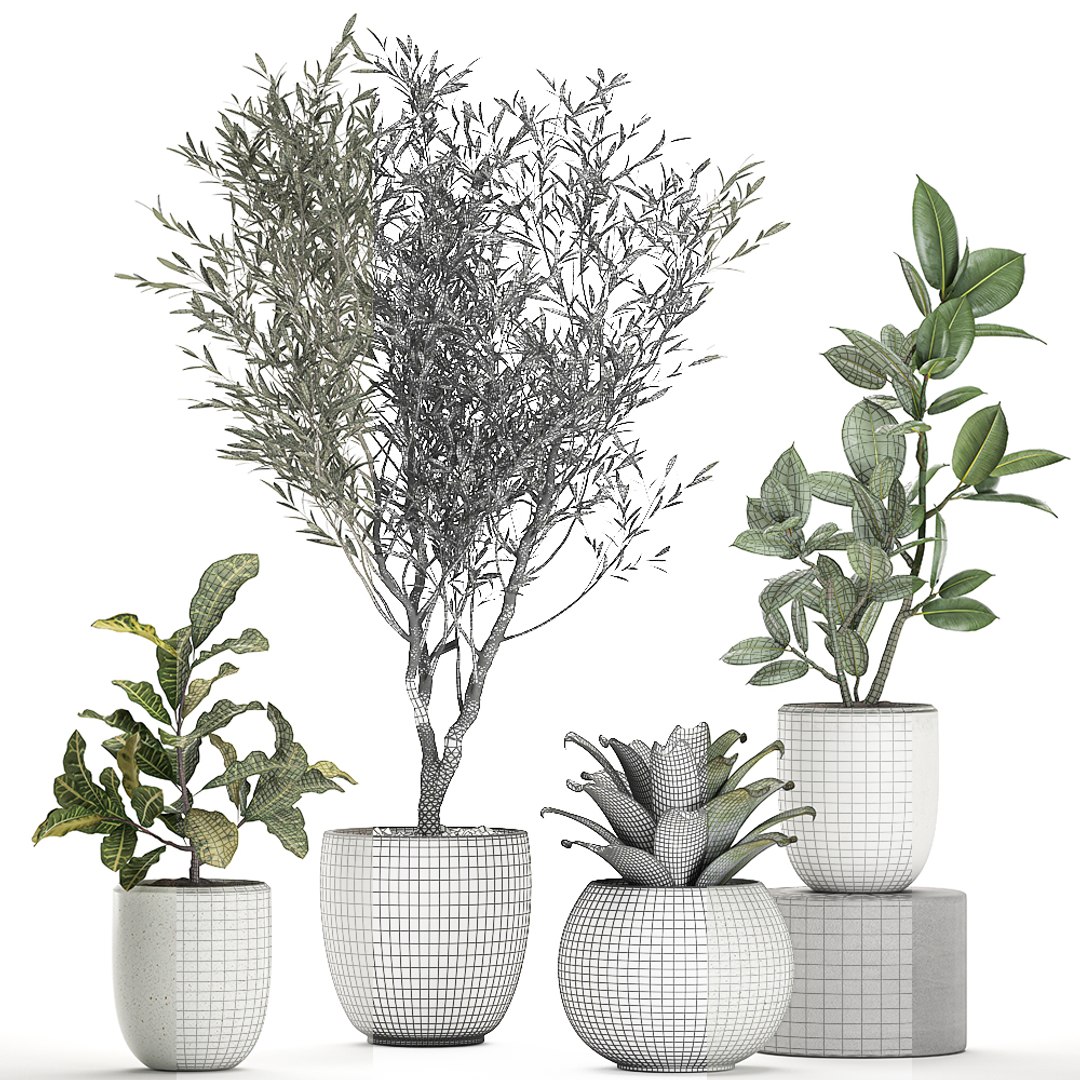 3D plants white https://p.turbosquid.com/ts-thumb/Hx/rQ1hZF/rVqPVHR9/plants0708202007/jpg/1596888193/1920x1080/fit_q87/94af52ac82cb5beda77281140aa8fdd1bebc6c6d/plants0708202007.jpg