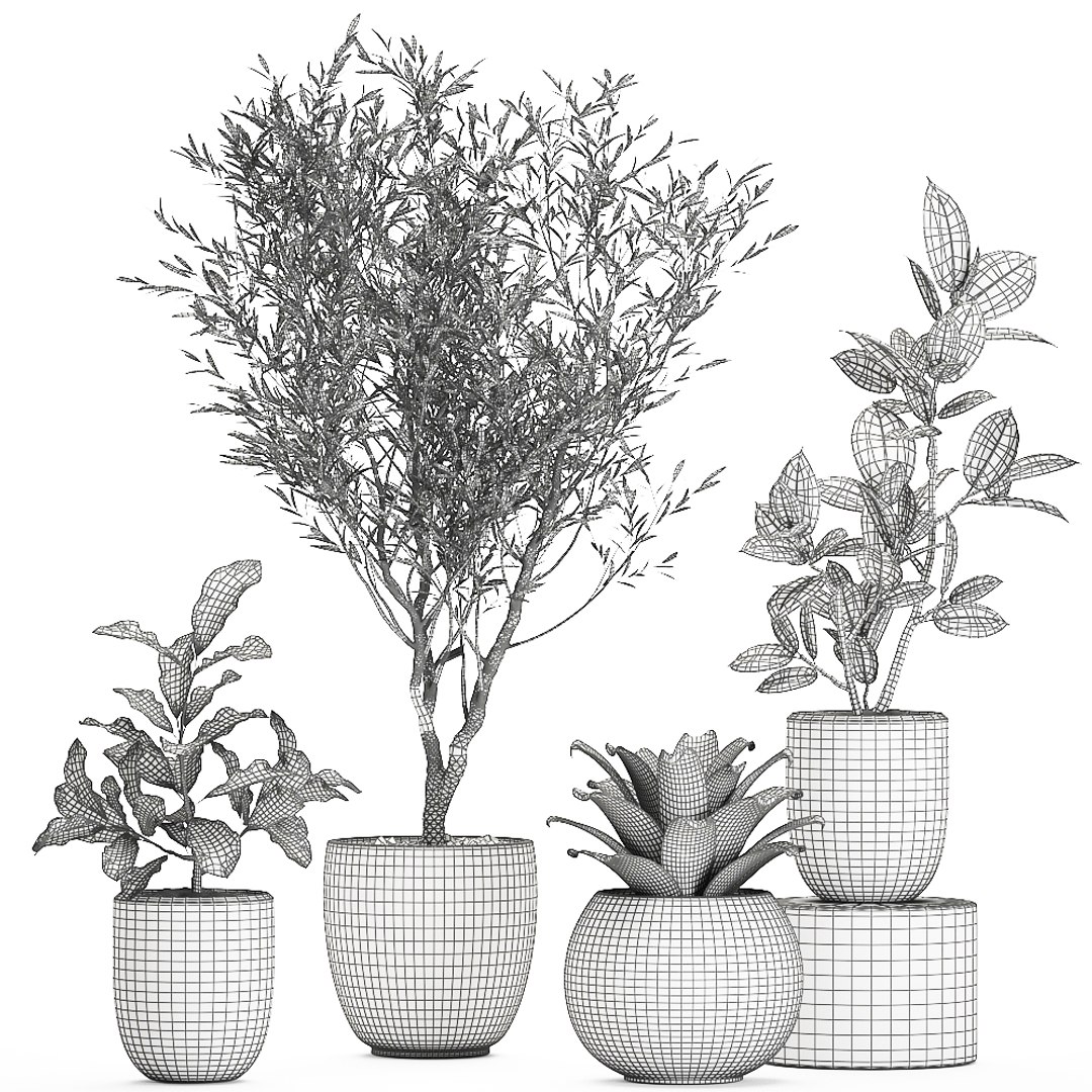 3D plants white https://p.turbosquid.com/ts-thumb/Hx/rQ1hZF/vgPGfcuA/plants0708202009/jpg/1596888193/1920x1080/fit_q87/151986856b53cce3c7dd503881778b152f538c47/plants0708202009.jpg
