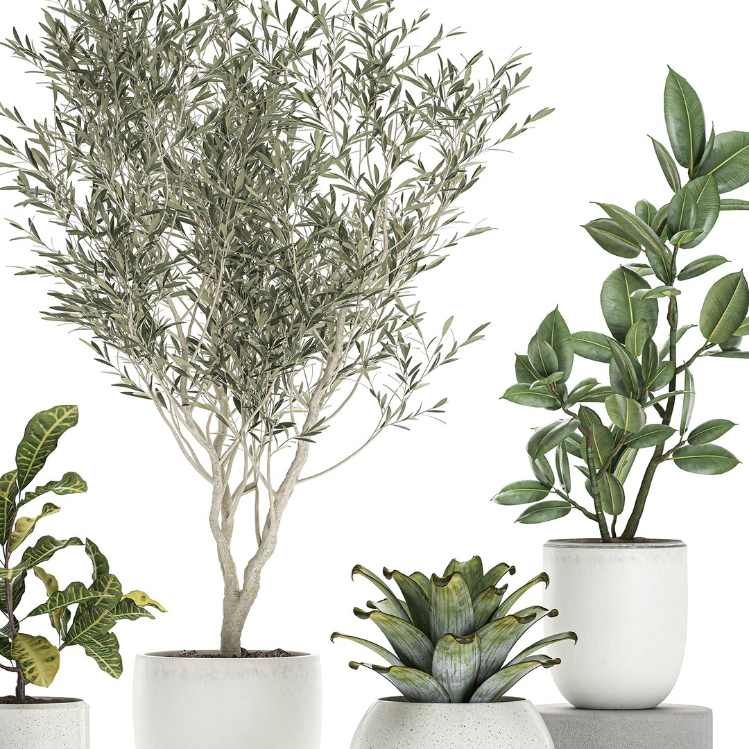 3D plants white https://p.turbosquid.com/ts-thumb/Hx/rQ1hZF/z9fEKJIb/plants0708202003/jpg/1596888193/1920x1080/fit_q87/67859f38f15584bc31b52db9fdea09f9181e2f70/plants0708202003.jpg