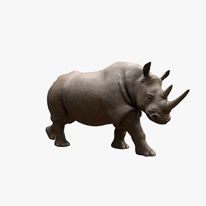 3D Walking Rhino model