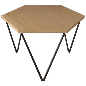 Gio Ponti Coffee Table 3D model