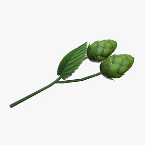 Medieval Hops Herbal