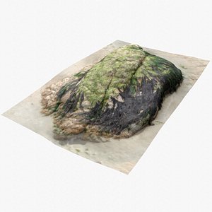 Rock 3D Scan 28