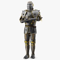 Medieval Knight Armor Suit with Intricate Patterns