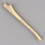 Ulna Bone