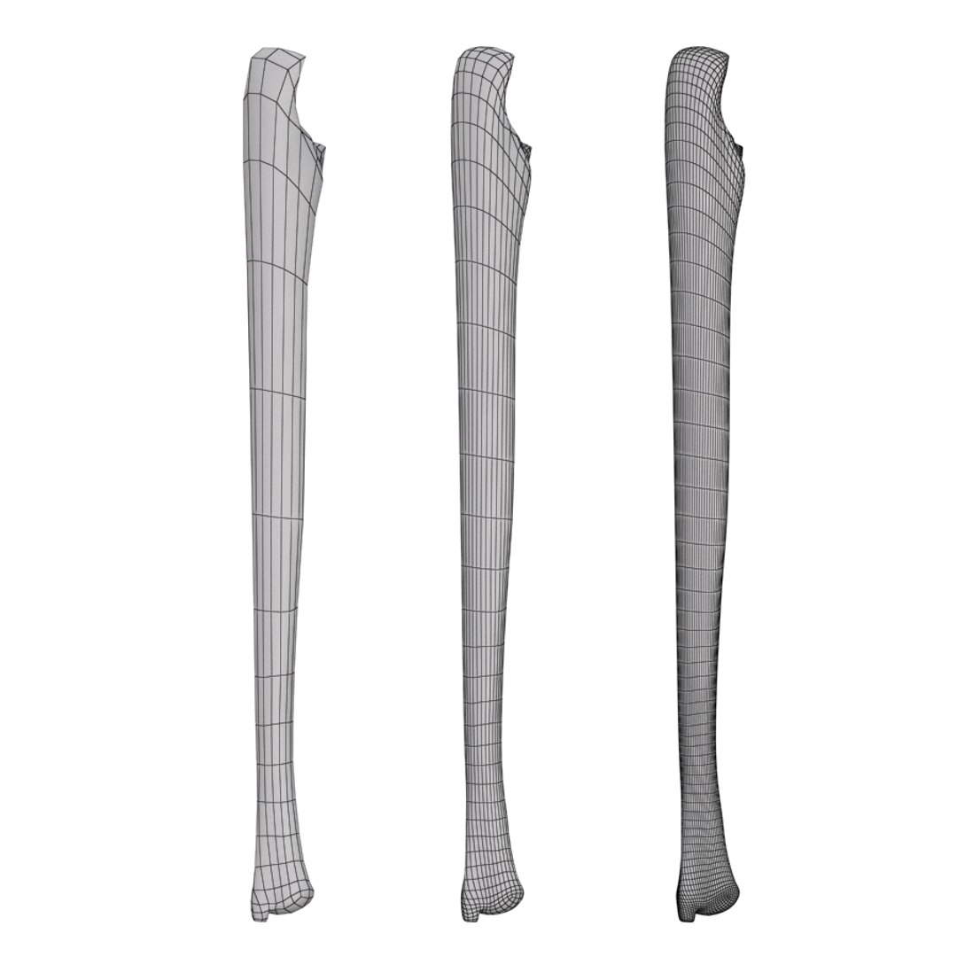 ulna bone 3d max https://p.turbosquid.com/ts-thumb/Hy/OJ9UY3/UQGT2Q66/w2/jpg/1324309069/1920x1080/fit_q87/e70b716be4e0658b8fa042b10c8ed821822f2c5f/w2.jpg