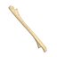 Ulna Bone