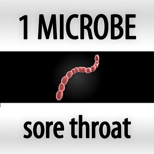 3d model microbes micro organisms