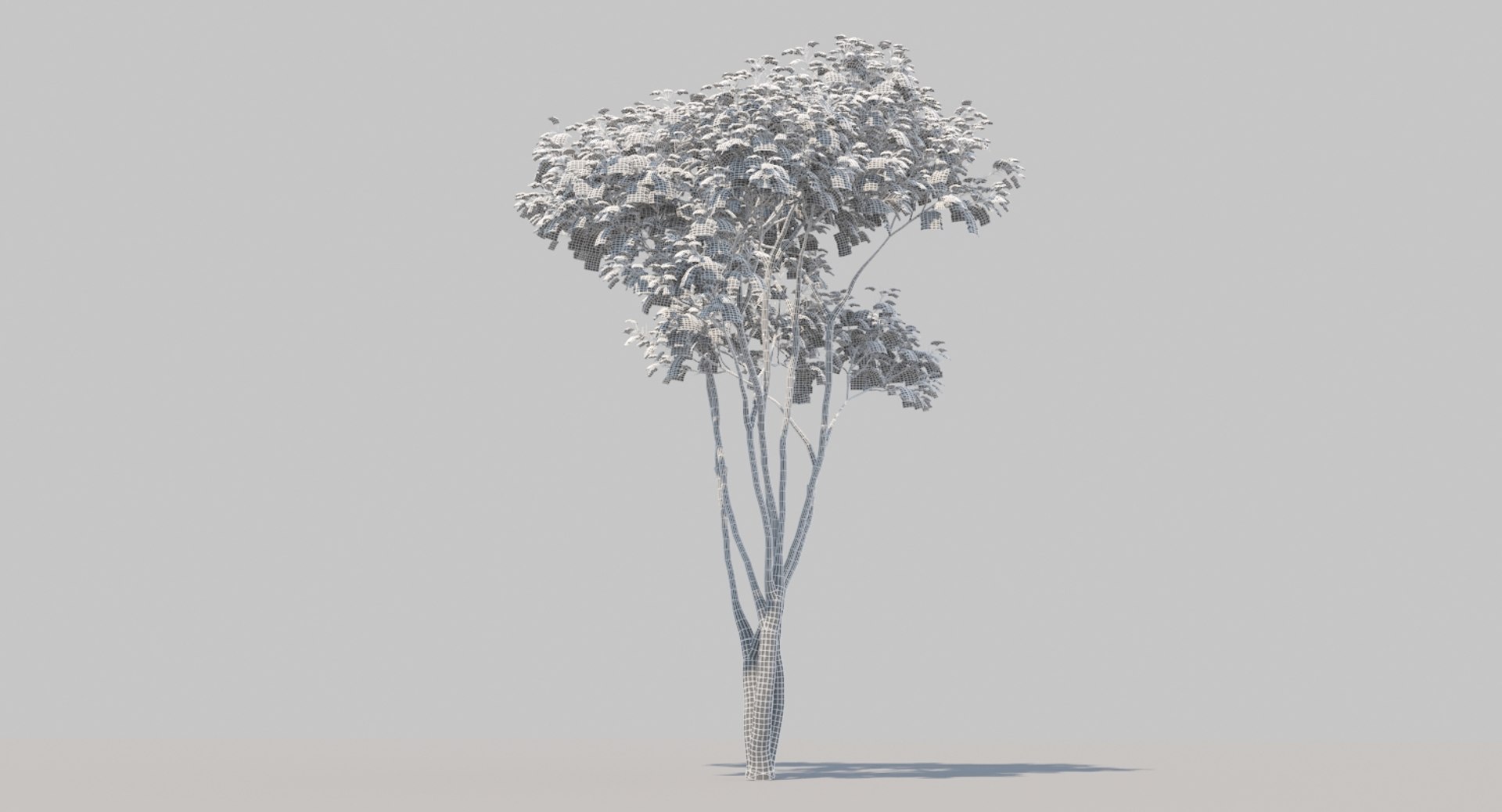 3D silk orange tree 02 TurboSquid 1420907