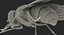 Fly Pose 2 with Fur 3D Model