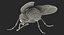 Fly Pose 2 with Fur 3D Model